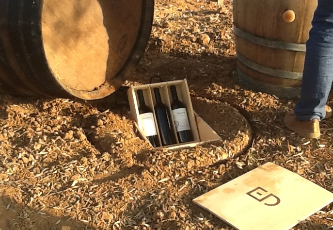 Sentencia_coupage_experimental_2006_2007_2008_Sentencia_2009_Sentencia_2010